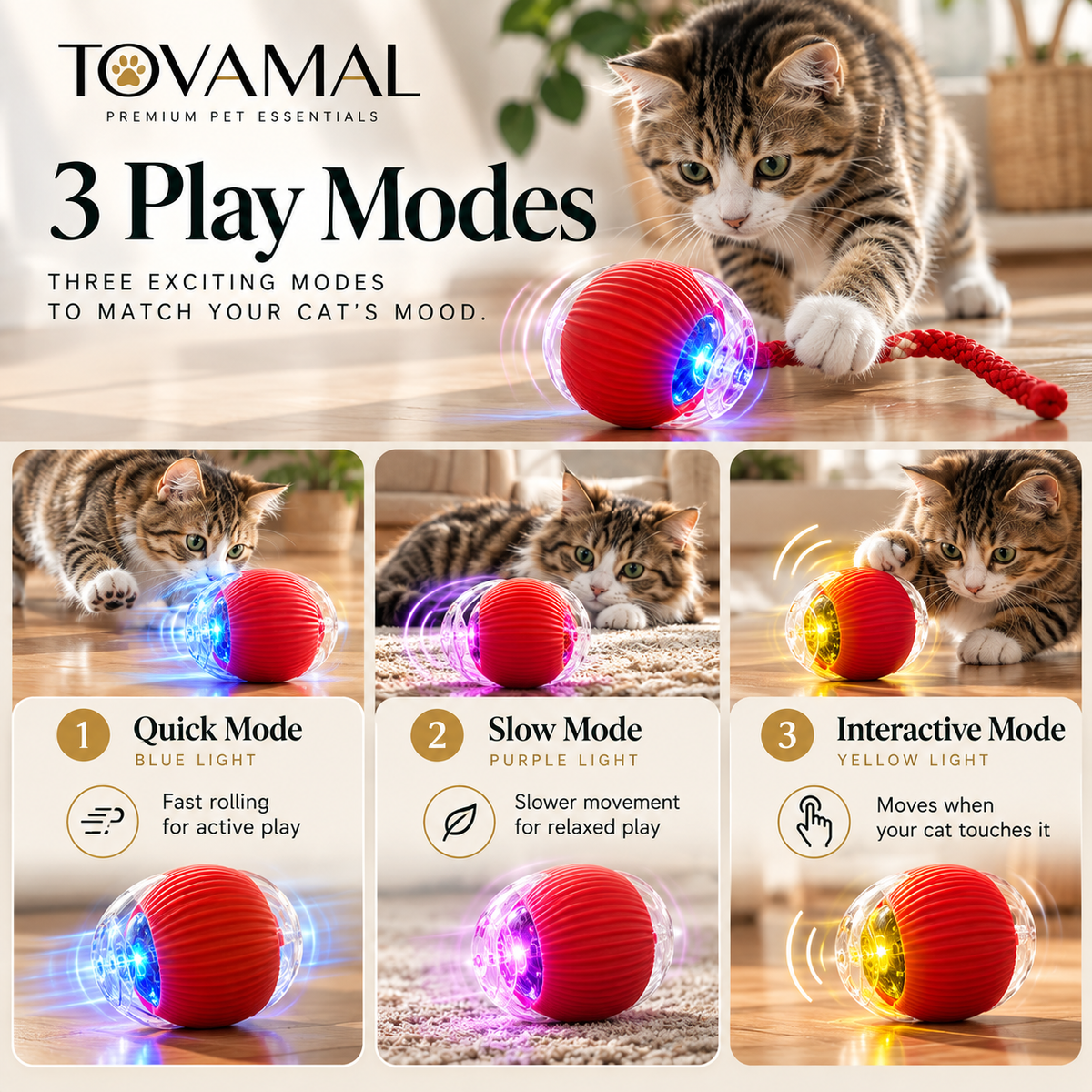 Rolling Ball Cat Toy