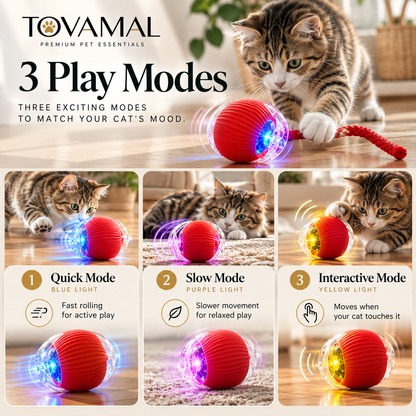 Rolling Ball Cat Toy
